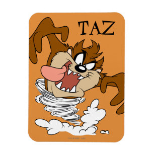 TAZ™ Whirling Tornado Magnet