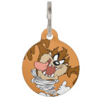 TAZ™ Whirling Tornado