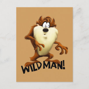 TAZ™- Wild Man Postcard