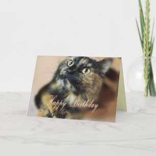 TazzieBday-customise Card