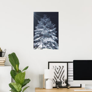 TBA Award- Pine Lights Poster