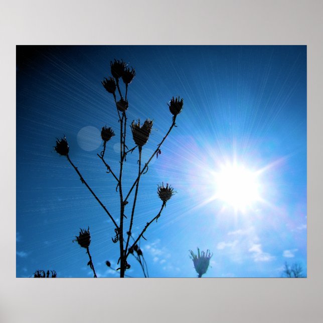 TBA Award Winner Hope Poster (Front)