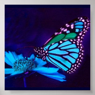 - TBA - Butterfly in Blue Light Poster