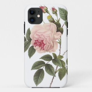(TBA) Redoute Rose 2 iPhone 11 Case