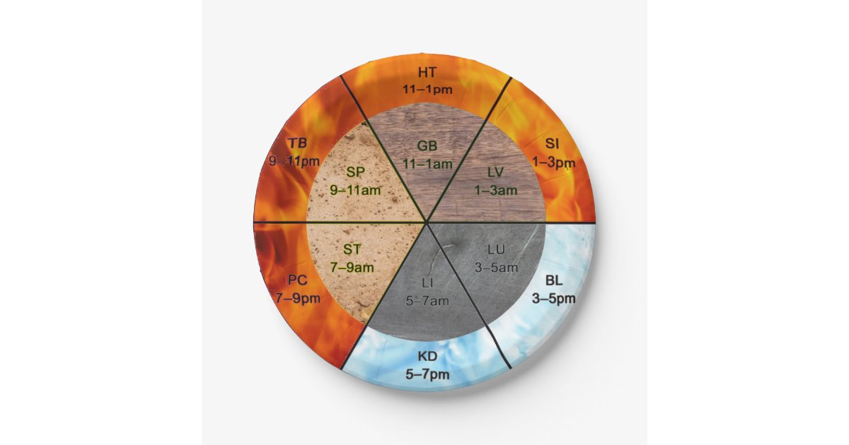TCM clock elements meridians organs acupuncture Paper Plate | Zazzle