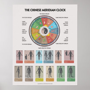 TCM Meridian Organ Clock Poster, Chinese Medicine Poster