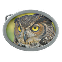 TCWC - Great Horned Owl