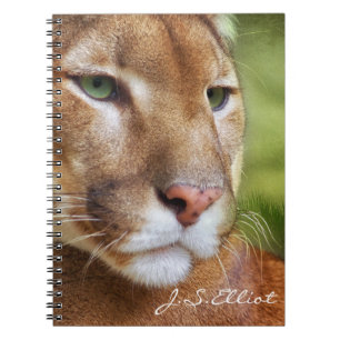 TCWC - Puma Mountain Lion Art Notebook
