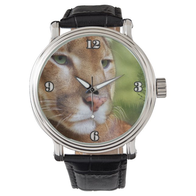 TCWC - Puma Mountain Lion Art Watch (Front)