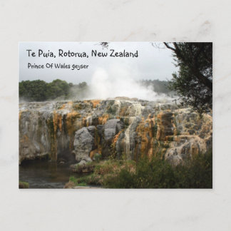 Te Puia, Rotorua, New Zealand Postcard