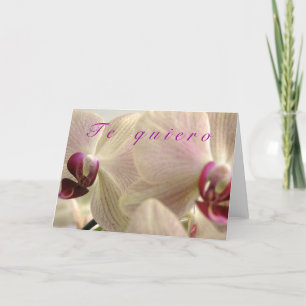"Te Quiero" Holiday Card