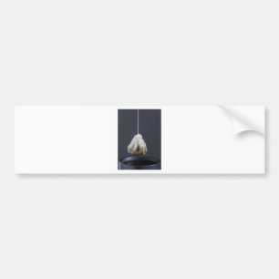 Tea bag is hung in a cup bumper sticker