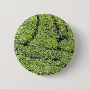 Tea gardens of Munnar on 6 Cm Round Badge
