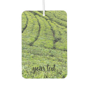 Tea gardens of Munnar on Air Car Air Freshener