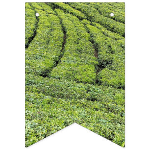 Tea gardens of Munnar on bunting flags