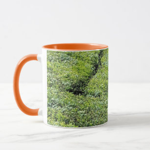 Tea gardens of Munnar on coffee Mug