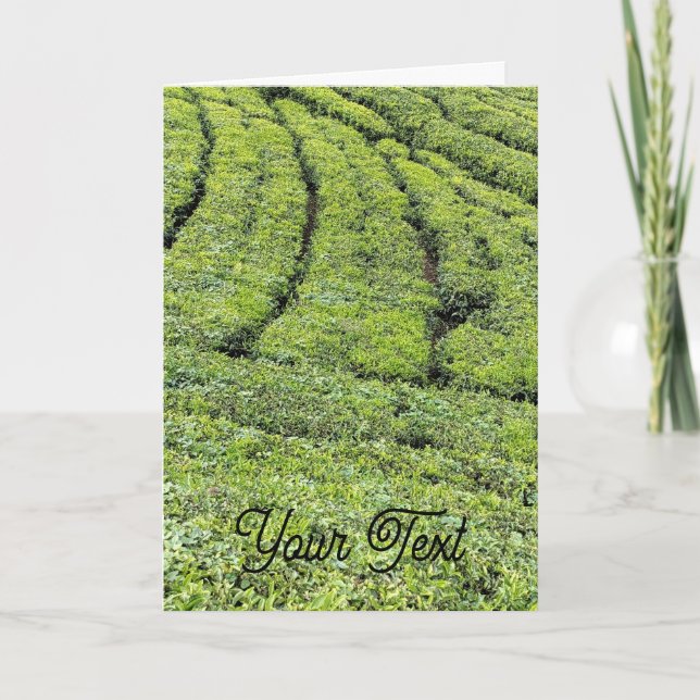 Tea gardens of Munnar on greeting card (Front)