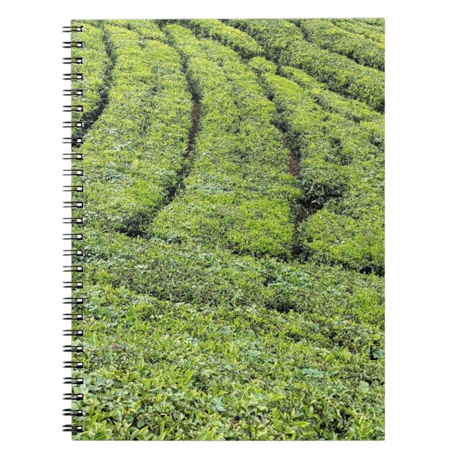 Tea gardens of Munnar on  Notebook (Front)