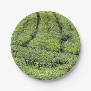 Tea gardens of Munnar on Paper Plate