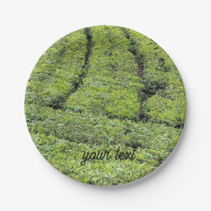 Tea gardens of Munnar on Paper Plate