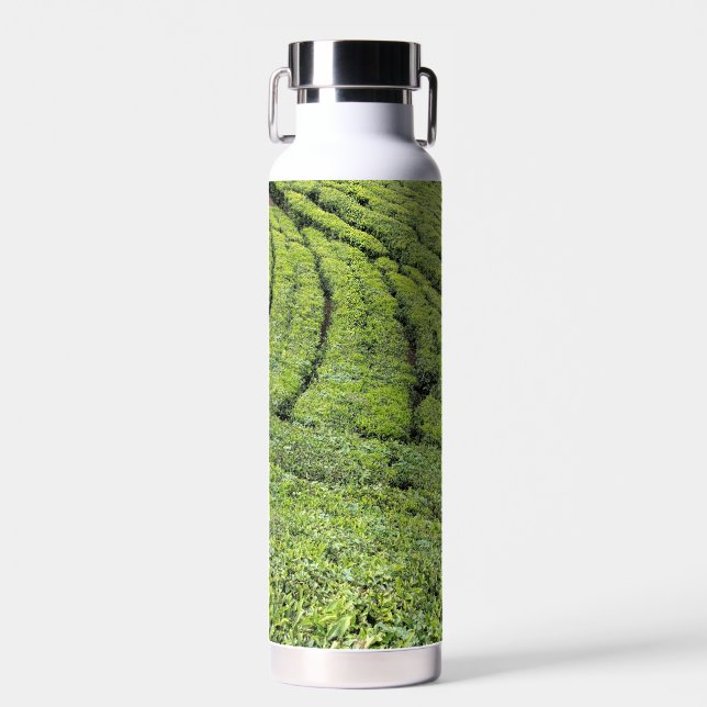 Tea gardens of Munnar on water bottle (Front)