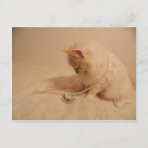 tea party cup n kitty Postcard