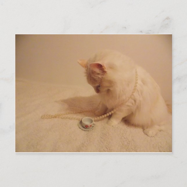 tea party cup n kitty  Postcard (Front)
