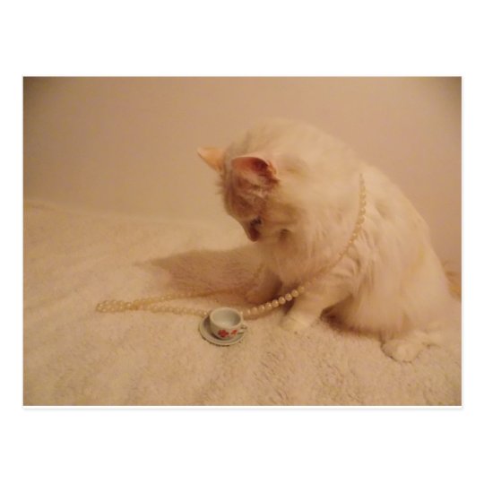 tea party cup n kitty Postcard