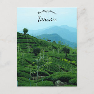Tea Plantation in Taiwan Postcard