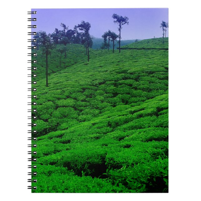 Tea plantation notebook (Front)