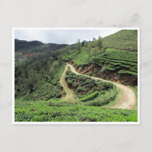 tea plantation trails postcard