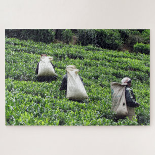 tea plantation working jigsaw puzzle