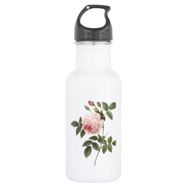 tea rose(Rosa indica) by Redouté 532 Ml Water Bottle (Front)