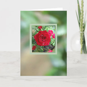 Tea Roses Inset Blank to Personalise Card