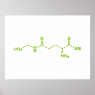 Tea Theanine Molecular Chemical Formula Poster