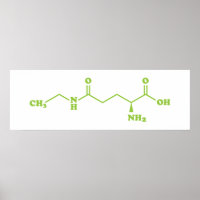 Tea Theanine Molecular Chemical Formula