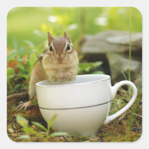 Tea Time Chipmunk Square Sticker
