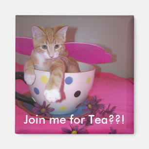 Tea time magnet
