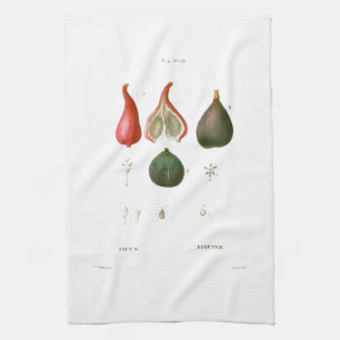 TEA TOWEL : BOTANICAL : REDOUTÉ : FIGS