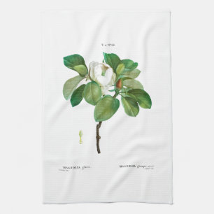 TEA TOWEL : BOTANICAL : REDOUTÉ : MAGNOLIA