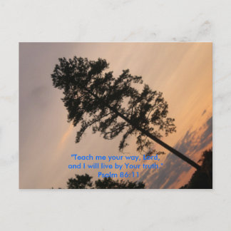 "Teach me your way, Lord,and I will l... Postcard