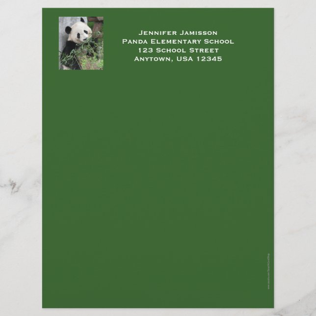 Teacher Appreciation Stationery, Panda, Green Trim Letterhead (Front)