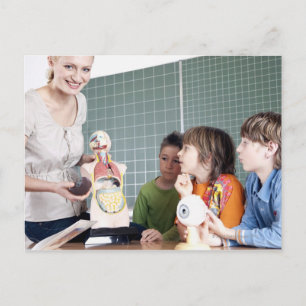 teacher demonstrating model of human body to postcard