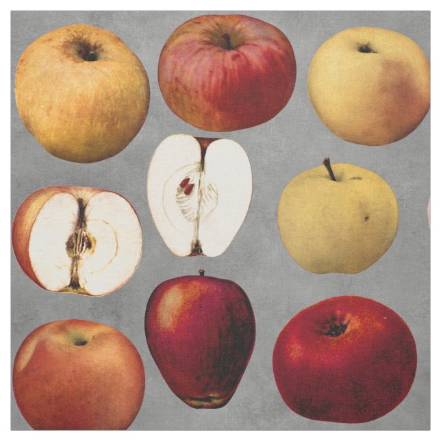 Teacher Red Golden Apples Fabric (Swatch)