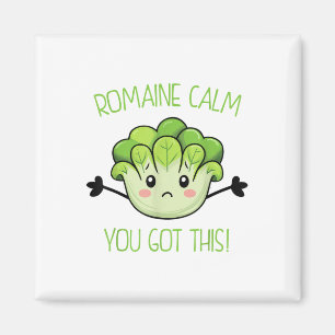 Teacher Testing Romaine Calm You Got This Magnet