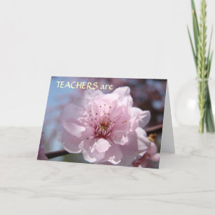 TEACHERS are EVERYDAY HEROES! Cards Thank You