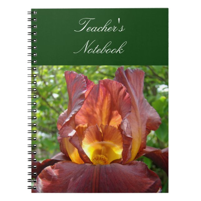 Teacher's Notebook custom School Iris Flowers (Front)