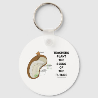 Teachers Plant The Seeds Of The Future (Bean Seed) Key Ring