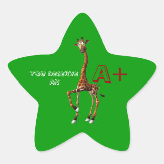 TEACHERS PRAISE STICKERS