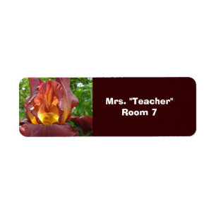 Teacher's Room Labels stickers Room #'s